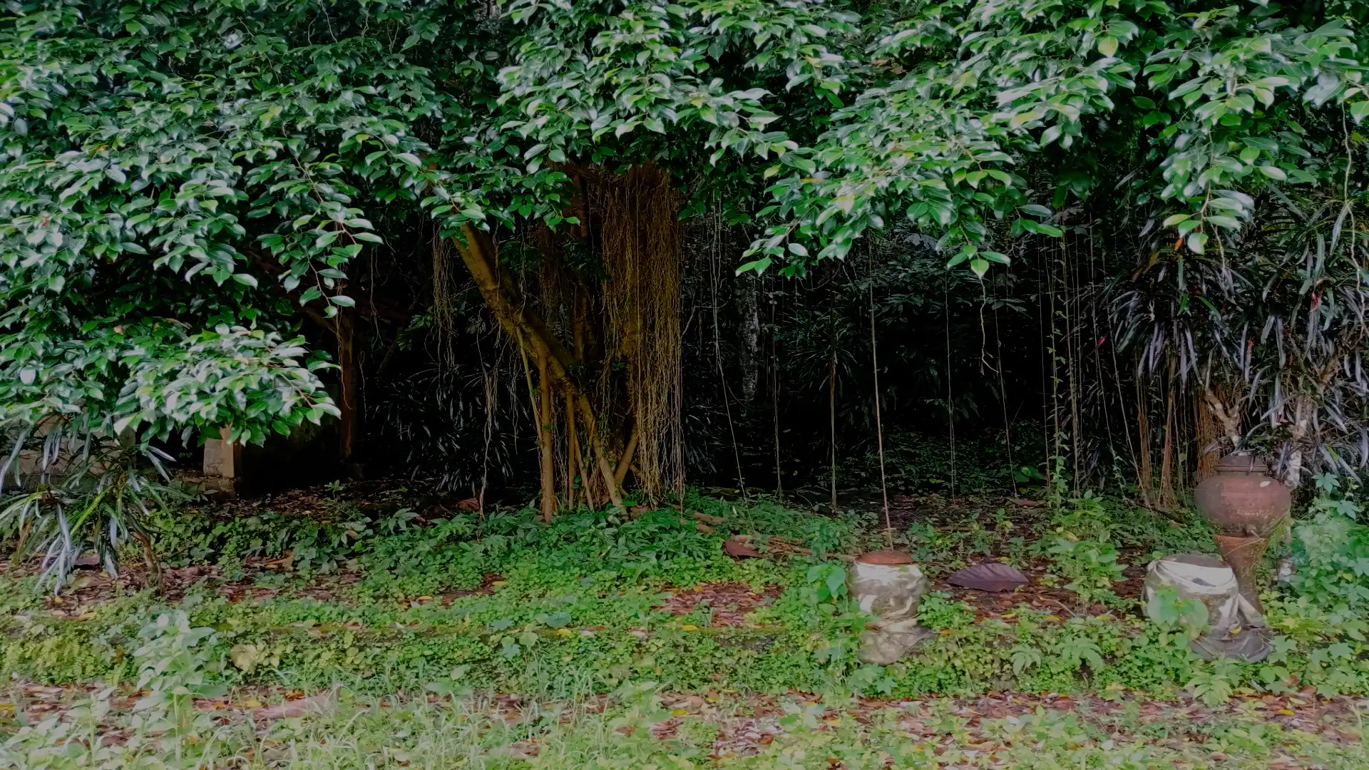 Sendhang